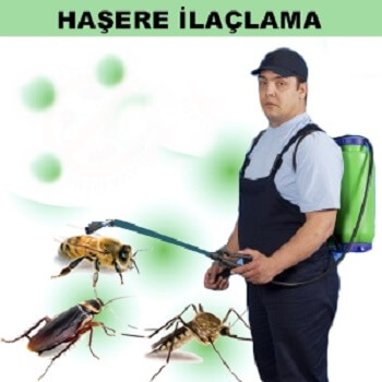 Tuzluca Böcek İlaçlama